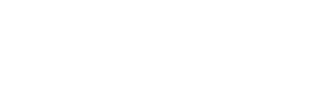Need For Spin logotips